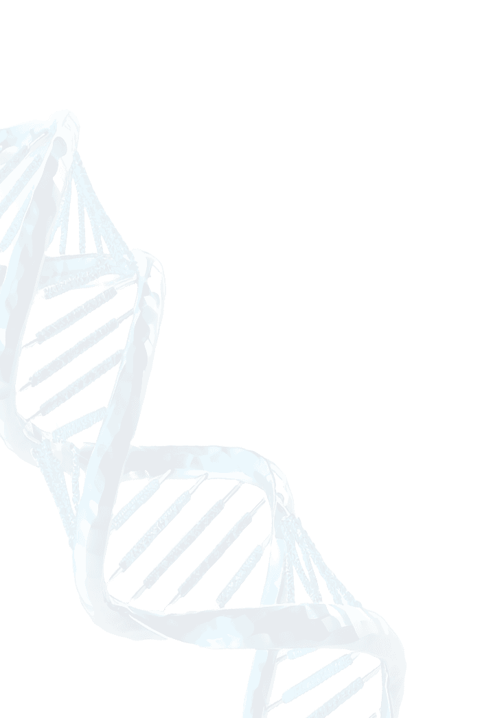 bgchromosome